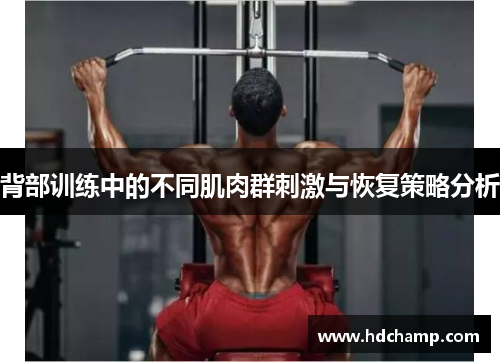 背部训练中的不同肌肉群刺激与恢复策略分析