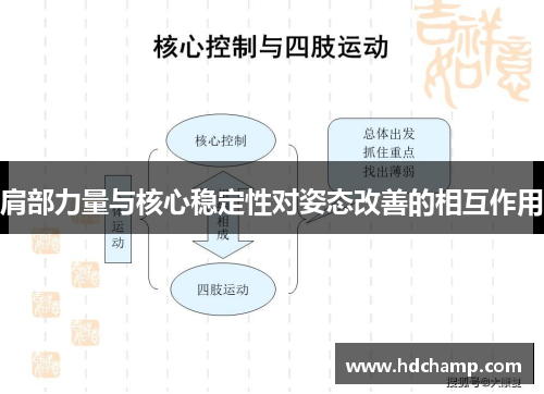 肩部力量与核心稳定性对姿态改善的相互作用
